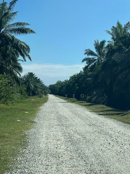 Tanah Pertanian untuk Dijual di Kampung Sri Cheeding (Jenjarom) - KS Yeo - Exterior - PropertyGuru.com.my