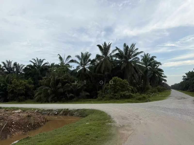 Industrial Land for Sale in Kampung Sri Cheeding (Jenjarom) - KT Go - Exterior - PropertyGuru.com.my