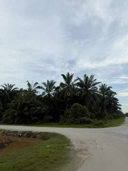 Industrial Land for Sale in Kampung Sri Cheeding (Jenjarom) - KT Go - Exterior - PropertyGuru.com.my