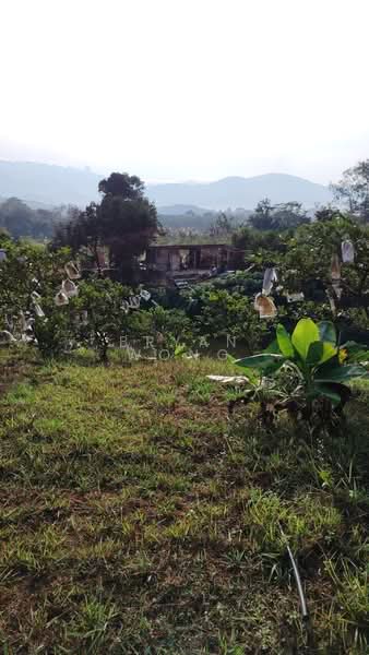 Tanah Pertanian untuk Dijual di Batang Kali (Selangor) - Bryan Wong - Exterior - PropertyGuru.com.my