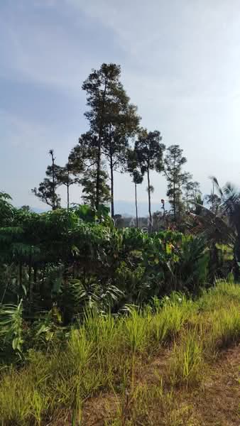 Tanah Pertanian untuk Dijual di Batang Kali (Selangor) - Bryan Wong - Exterior - PropertyGuru.com.my