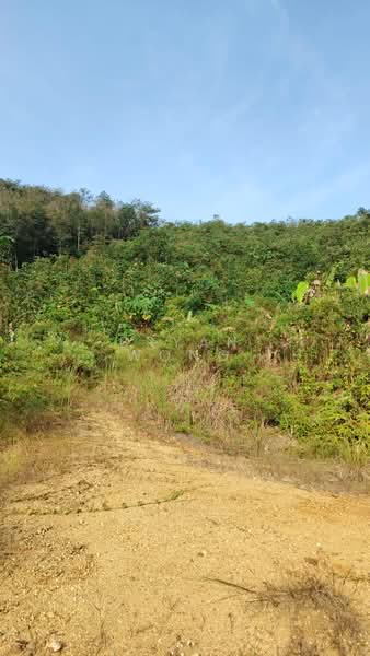 Tanah Pertanian untuk Dijual di Batang Kali (Selangor) - Bryan Wong - Exterior - PropertyGuru.com.my