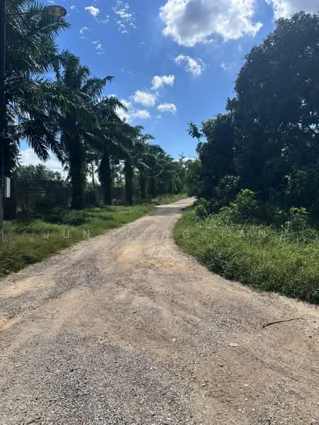 Agricultural Land for Sale in Kampung Baru Ban Foo (Ulu Tiram) - Jun Weng Tan - Exterior - PropertyGuru.com.my