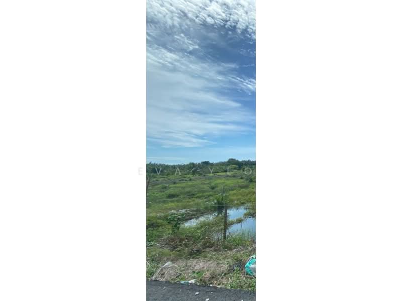 Agricultural Land for Sale in Benut (Johor) - Eva Yeo - Exterior - PropertyGuru.com.my