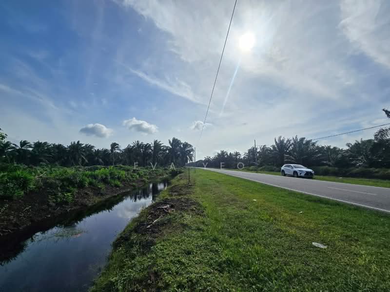 Agricultural Land for Sale in Pekan Nenas (Jeram Batu) - Eva Yeo - Exterior - PropertyGuru.com.my