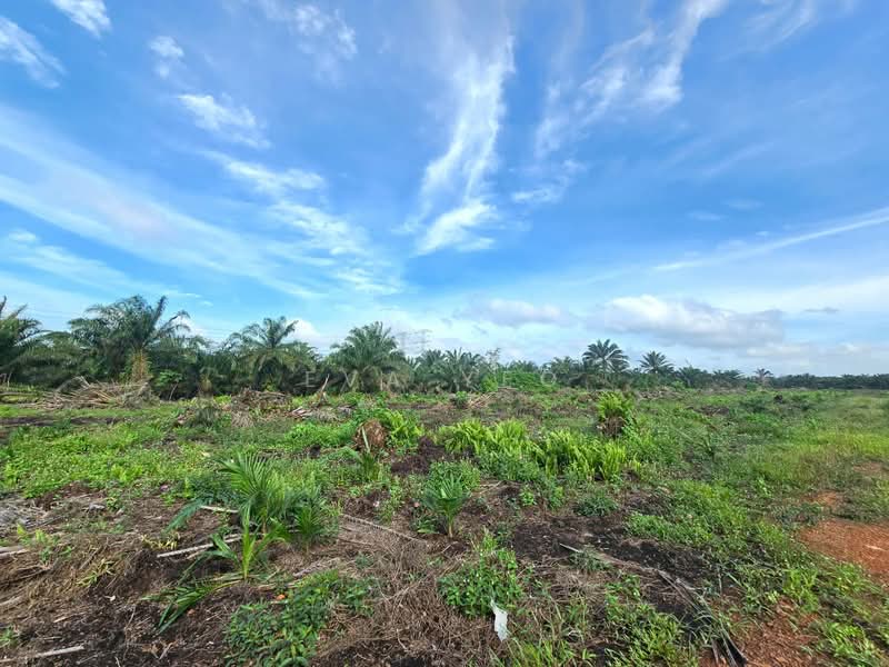 Agricultural Land for Sale in Pekan Nenas (Jeram Batu) - Eva Yeo - Exterior - PropertyGuru.com.my