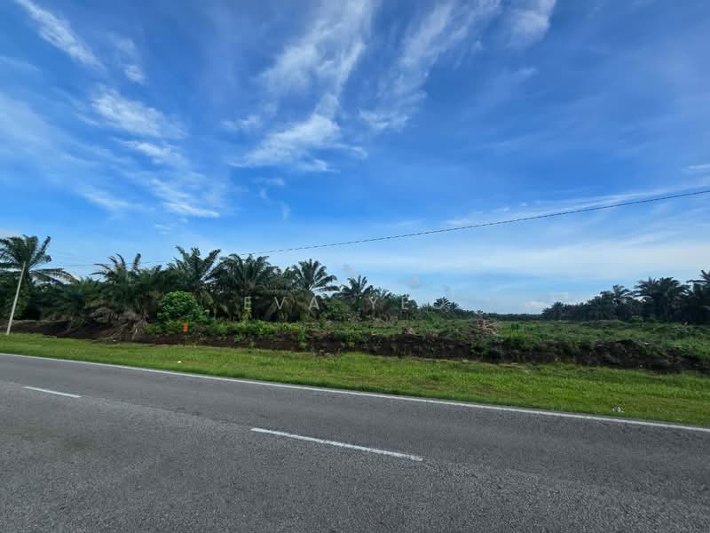 Agricultural Land for Sale in Pekan Nenas (Jeram Batu) - Eva Yeo - Exterior - PropertyGuru.com.my