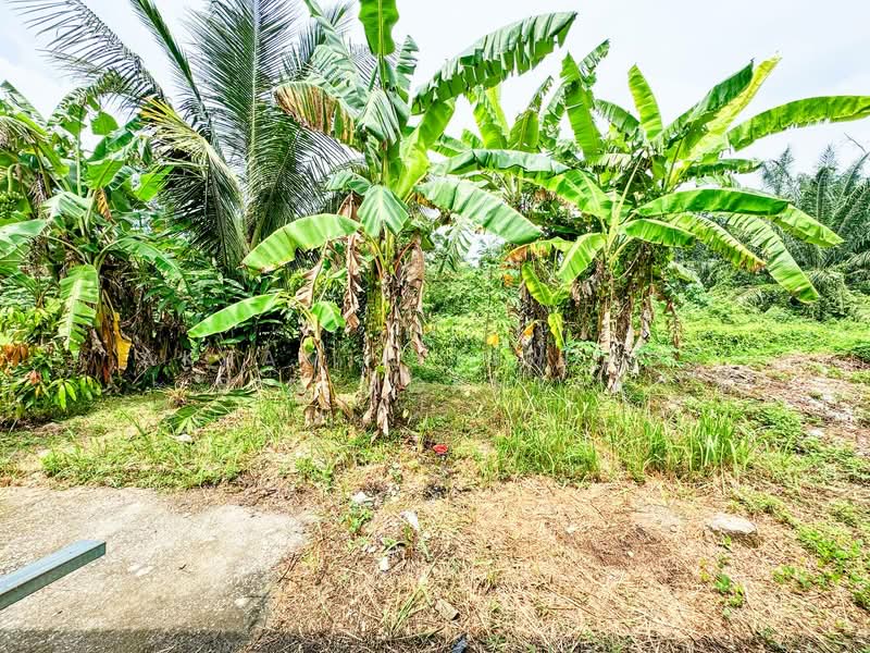 Rumah Teres 1 Tingkat untuk Dijual di Taman Haji Hamzah Alang (Kapar) - Akramin Firdaus Bin Mokhtar - PropertyGuru.com.my