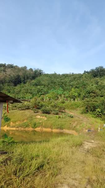 Tanah Pertanian untuk Dijual di Kajang (Selangor) - Chris Tye - Exterior - PropertyGuru.com.my