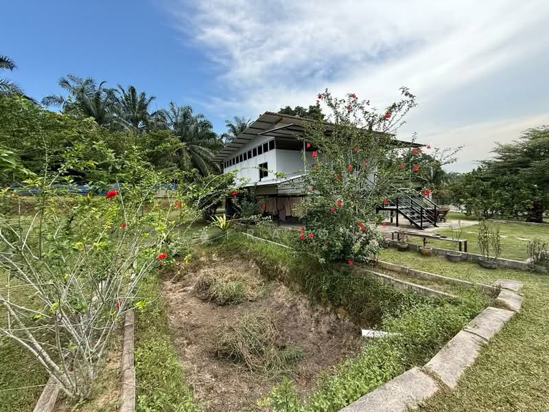 Tanah Perindustrian untuk Dijual di Pekan Nenas (Jeram Batu) - Claira Ong - Exterior - PropertyGuru.com.my