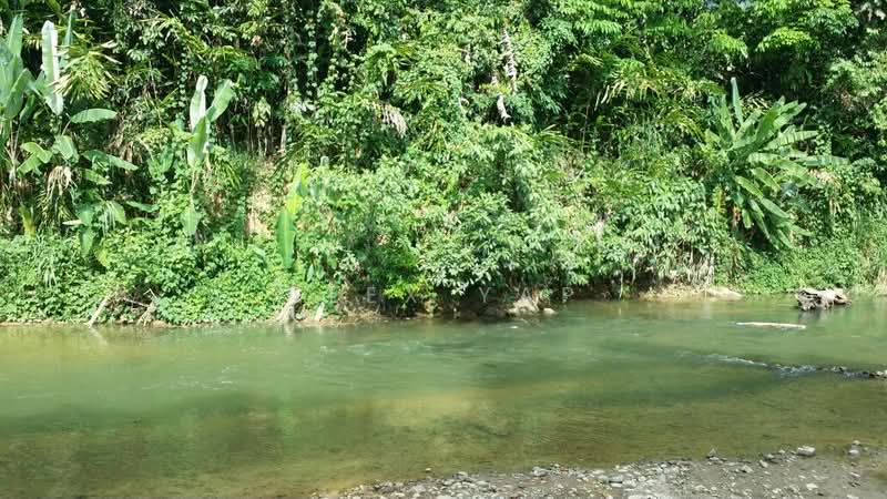 Agricultural Land for Sale in Taiping (Perak) - Alex Yap - Exterior - PropertyGuru.com.my