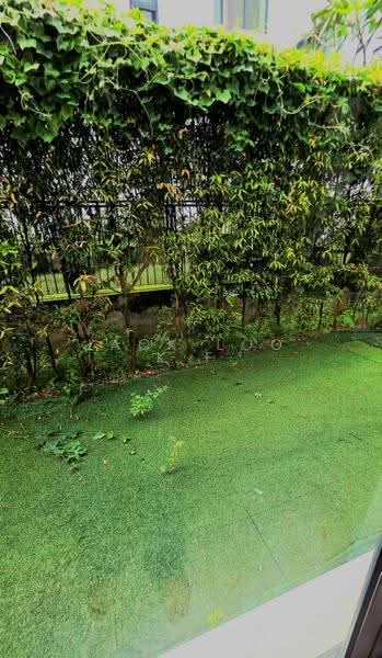 Terraced House for Rent in Desa Parkcity (Kuala Lumpur) - jack loo k f - Garden - PropertyGuru.com.my