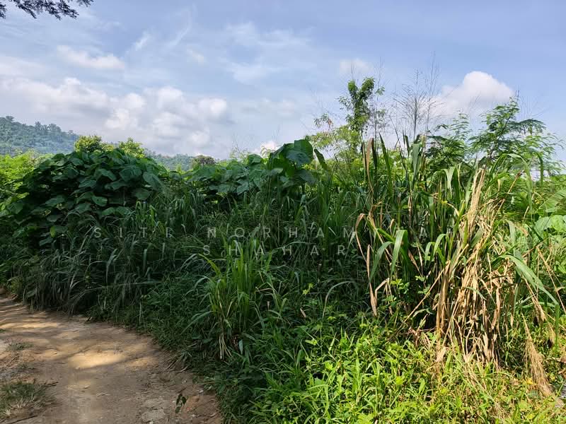 Other Property for Sale in Bandar Baru Bangi (Selangor) - Siti Norhamizah Shahar - Garden - PropertyGuru.com.my