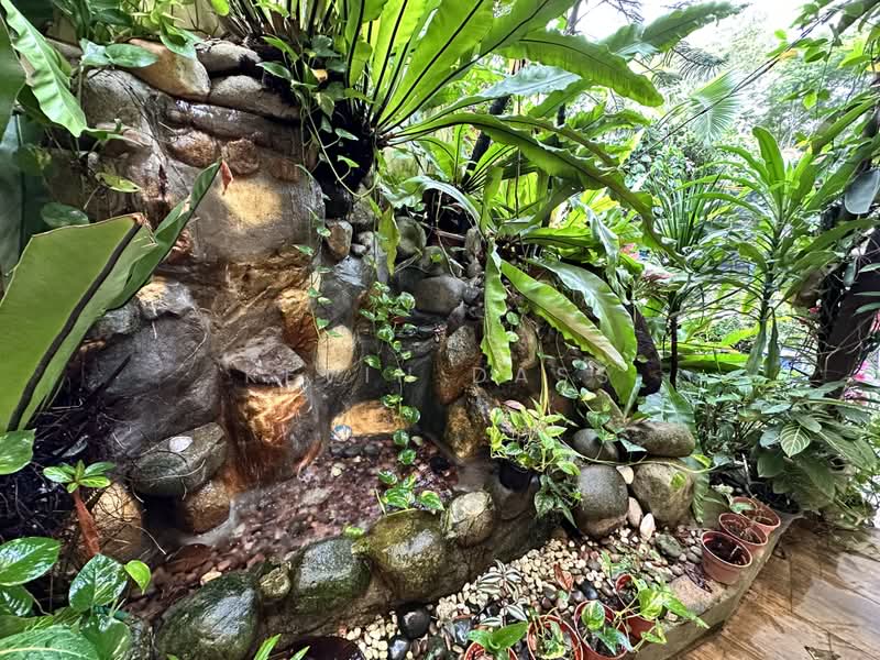 Semi-Detached House for Sale in SS4 (Petaling Jaya) - Kevin Dass - Garden - PropertyGuru.com.my