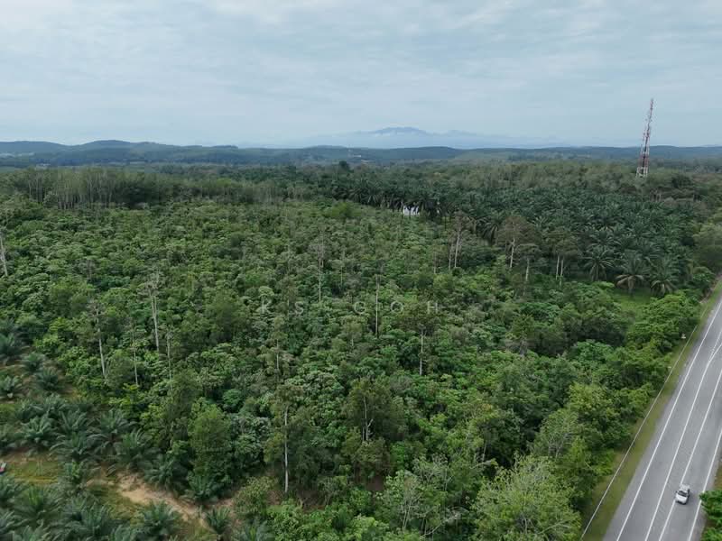Tanah Pertanian untuk Dijual di Kampung Baru Sauk (Chegar Galah) - KS Goh - PropertyGuru.com.my