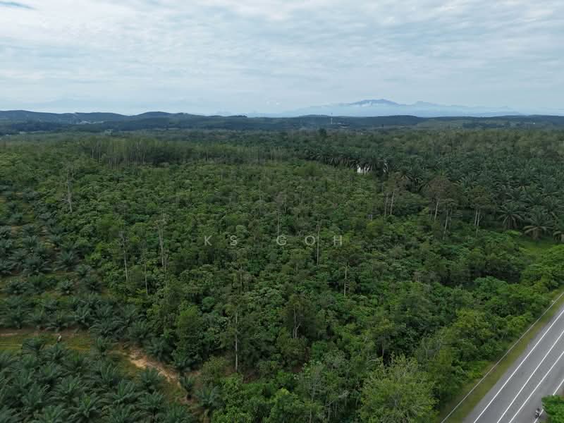 Tanah Pertanian untuk Dijual di Kampung Baru Sauk (Chegar Galah) - KS Goh - PropertyGuru.com.my