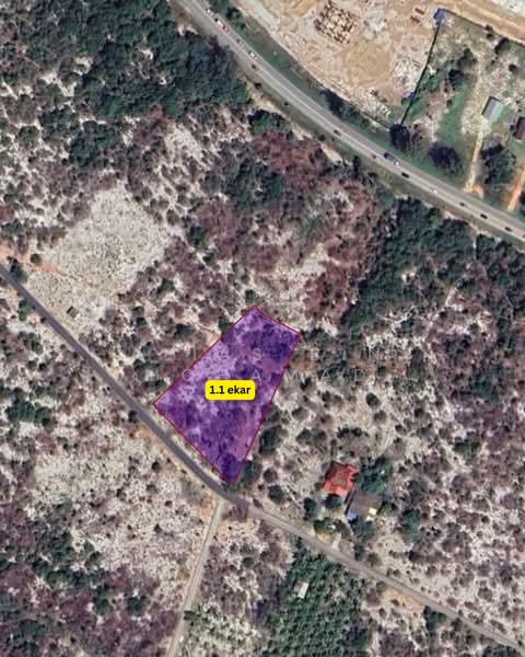 Tanah Pertanian untuk Dijual di Caluk (Terengganu) - Alias Bin Mohamad - PropertyGuru.com.my