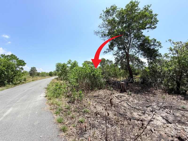 Tanah Pertanian untuk Dijual di Caluk (Terengganu) - Alias Bin Mohamad - PropertyGuru.com.my