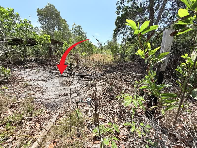 Tanah Pertanian untuk Dijual di Caluk (Terengganu) - Alias Bin Mohamad - PropertyGuru.com.my