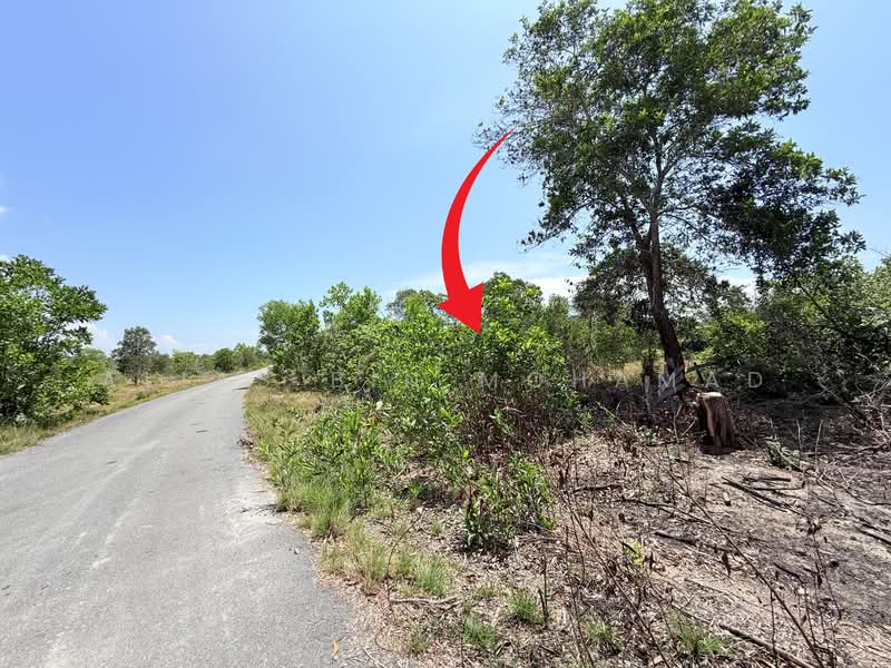 Tanah Pertanian untuk Dijual di Caluk (Terengganu) - Alias Bin Mohamad - PropertyGuru.com.my