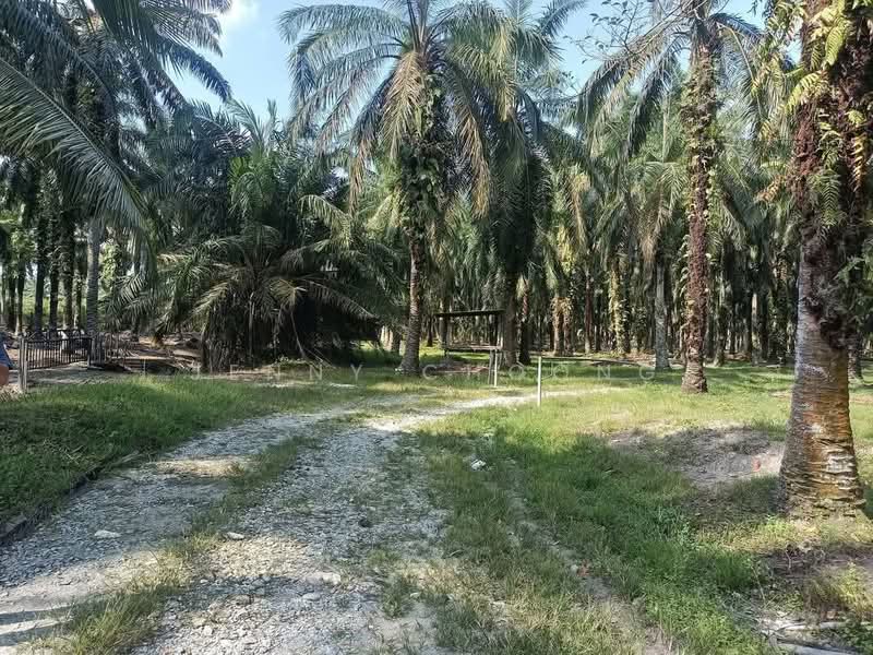 Tanah Pertanian untuk Dijual di Tapah (Perak) - Jenny Choong - Exterior - PropertyGuru.com.my