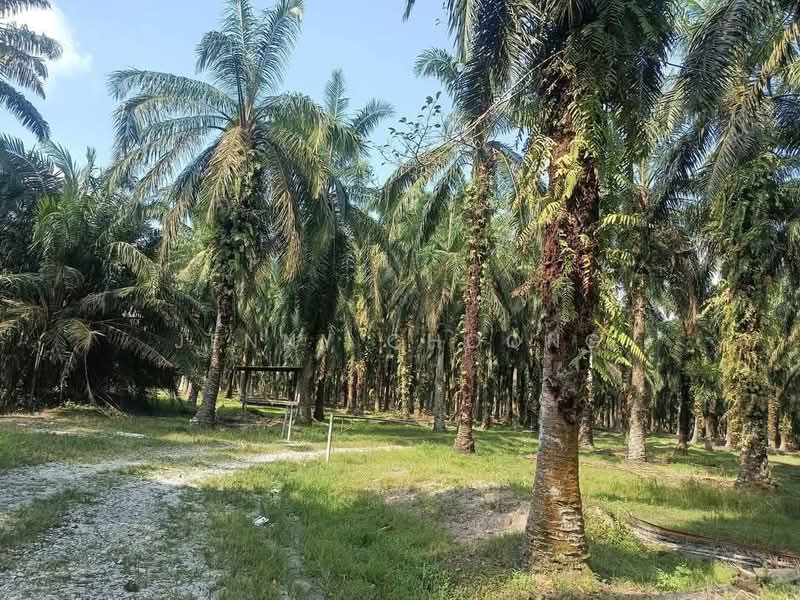 Tanah Pertanian untuk Dijual di Tapah (Perak) - Jenny Choong - Exterior - PropertyGuru.com.my