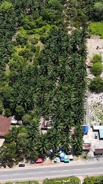 Tanah Pertanian untuk Dijual di Muar (Johor) - AIRUL NIZAM - Exterior - PropertyGuru.com.my