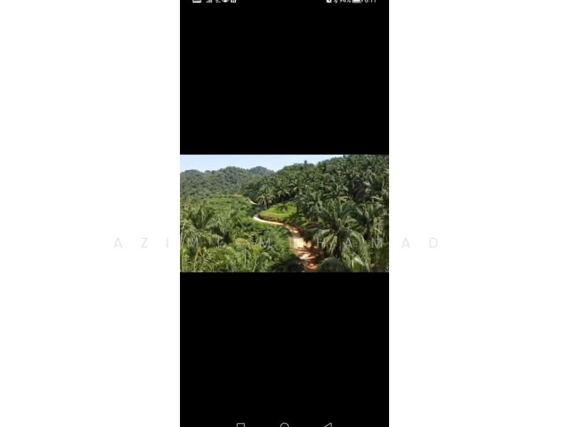 Agricultural Land for Sale in Ipoh (Perak) - Azimi Muhamad - PropertyGuru.com.my