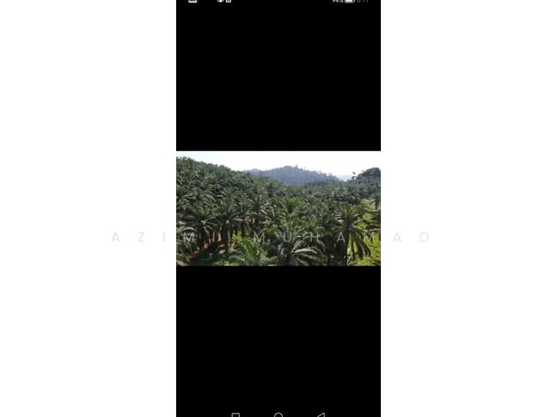 Agricultural Land for Sale in Ipoh (Perak) - Azimi Muhamad - PropertyGuru.com.my