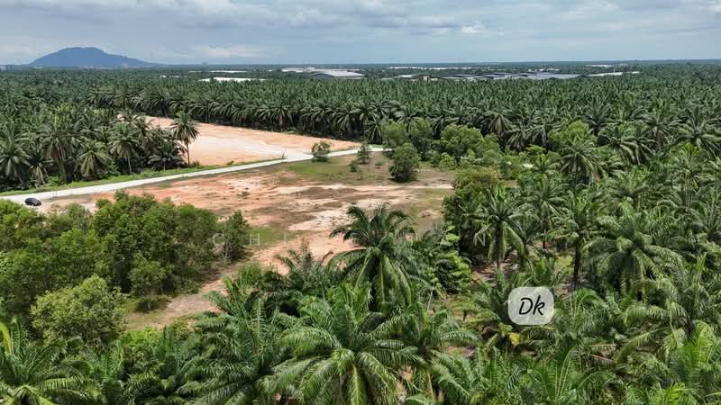 Agricultural Land for Sale in Telok Panglima Garang (Selangor) - Chloe Tan - PropertyGuru.com.my