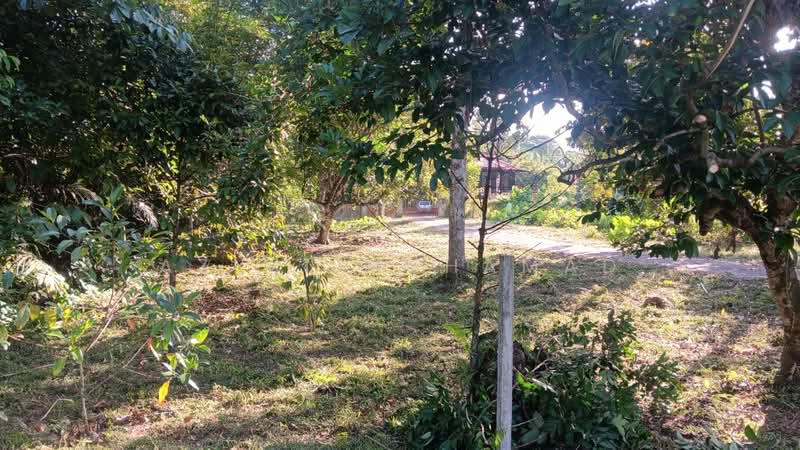 Tanah Pertanian untuk Dijual di Kampar (Perak) - Azimi Muhamad - Exterior - PropertyGuru.com.my