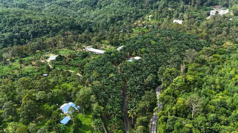 Agricultural Land for Sale in Kampung Baru Pantai (Pantai) - Gordan Wong - Exterior - PropertyGuru.com.my