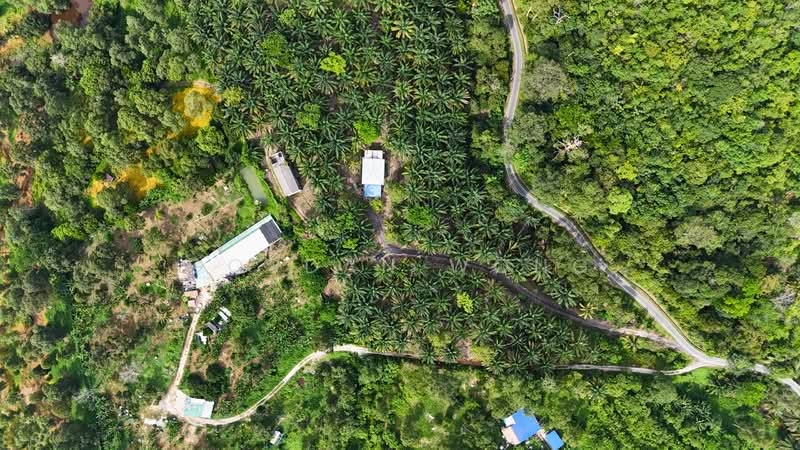 Agricultural Land for Sale in Kampung Baru Pantai (Pantai) - Gordan Wong - Exterior - PropertyGuru.com.my