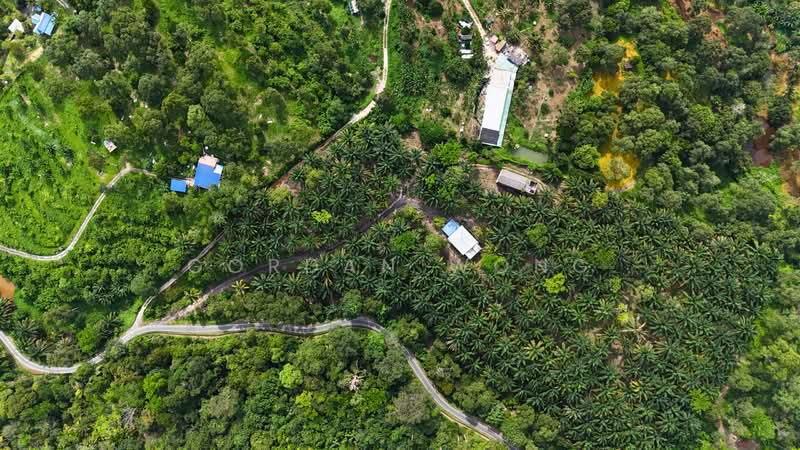 Agricultural Land for Sale in Kampung Baru Pantai (Pantai) - Gordan Wong - Exterior - PropertyGuru.com.my