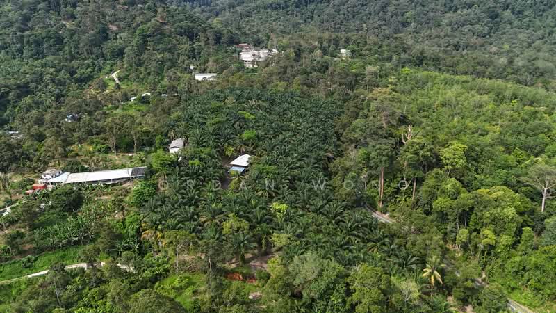 Agricultural Land for Sale in Kampung Baru Pantai (Pantai) - Gordan Wong - Exterior - PropertyGuru.com.my
