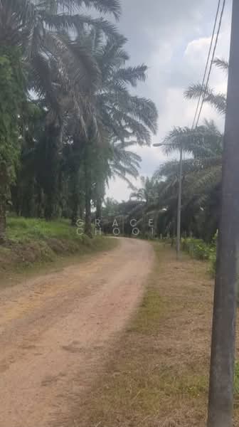 Tanah Pertanian untuk Dijual di Jenjarom (Selangor) - Grace Chooi - PropertyGuru.com.my
