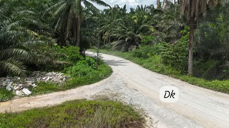 Agricultural Land for Sale in Telok Panglima Garang (Selangor) - Chloe Tan - PropertyGuru.com.my