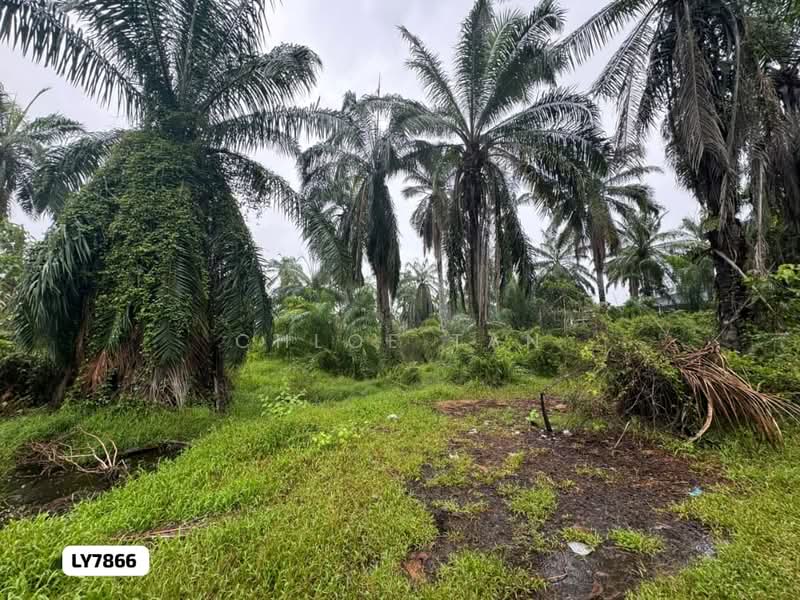 Tanah Pertanian untuk Dijual di Kapar (Selangor) - Chloe Tan - PropertyGuru.com.my