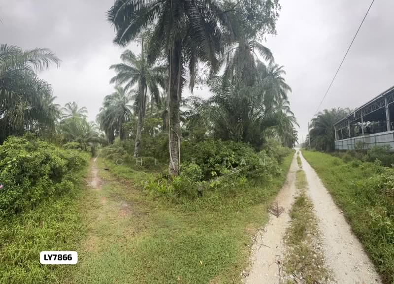 Tanah Pertanian untuk Dijual di Kapar (Selangor) - Chloe Tan - PropertyGuru.com.my