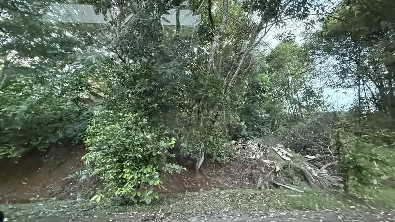 Residential Land for Sale in Taman Anak Bukit (Senai) - Carol Tan - PropertyGuru.com.my