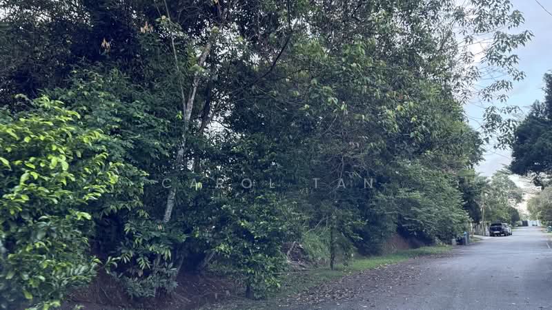 Residential Land for Sale in Taman Anak Bukit (Senai) - Carol Tan - PropertyGuru.com.my