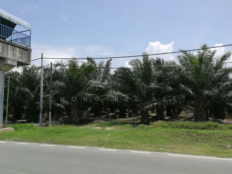 Tanah Pertanian untuk Dijual di Assam Jawa (Kuala Selangor) - Chong Pei Sze - Exterior - PropertyGuru.com.my