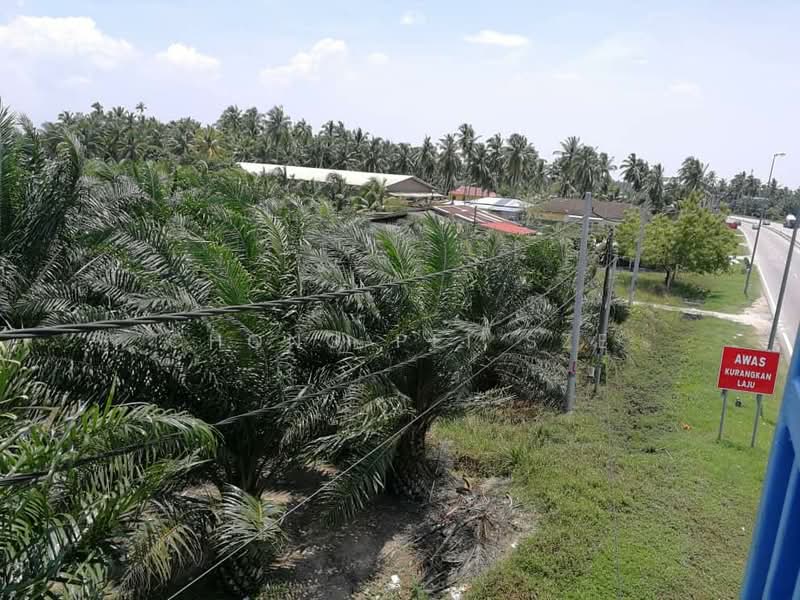 Tanah Pertanian untuk Dijual di Assam Jawa (Kuala Selangor) - Chong Pei Sze - Exterior - PropertyGuru.com.my