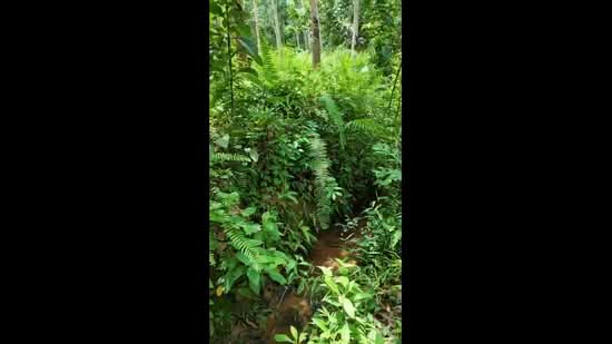 Agricultural Land for Sale in Kampung Perak Textile (Kuala Kangsar) - Ivan Tai - PropertyGuru.com.my