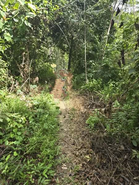Agricultural Land for Sale in Kampung Perak Textile (Kuala Kangsar) - Ivan Tai - PropertyGuru.com.my