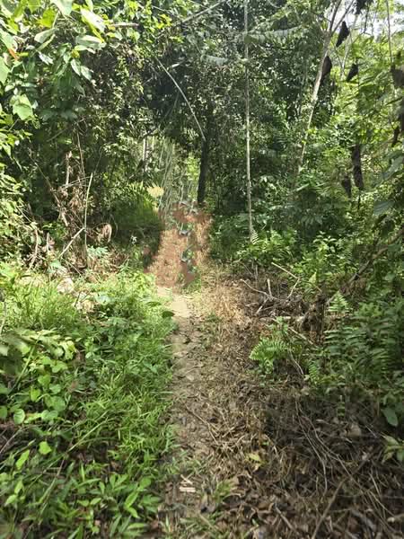 Agricultural Land for Sale in Kampung Perak Textile (Kuala Kangsar) - Gary Tang - Exterior - PropertyGuru.com.my