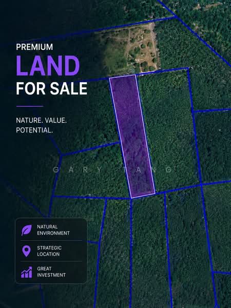 Agricultural Land for Sale in Kampung Perak Textile (Kuala Kangsar) - Gary Tang - PropertyGuru.com.my