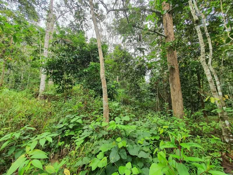 Agricultural Land for Sale in Kampung Perak Textile (Kuala Kangsar) - Gary Tang - Exterior - PropertyGuru.com.my