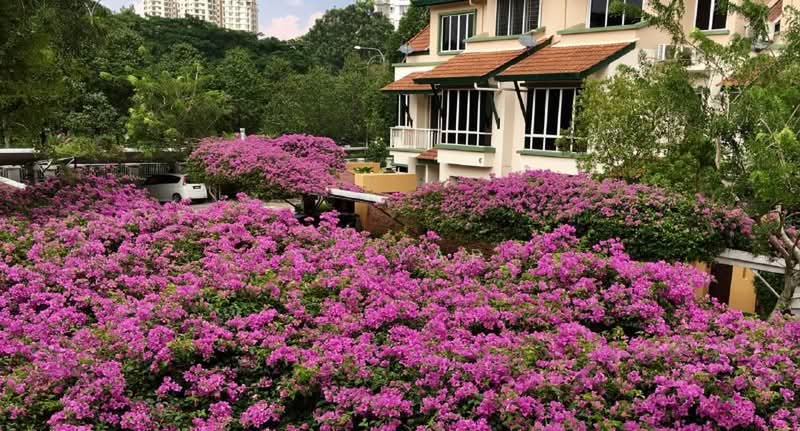 3-storey Terraced House for Sale in Desa Parkcity (Kuala Lumpur) - SY YAP - Exterior - PropertyGuru.com.my