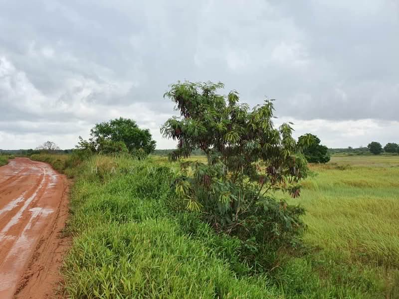 207 ACRES MIXED DEVELOPMENT LAND IN PENGERANG, JOHOR - 3